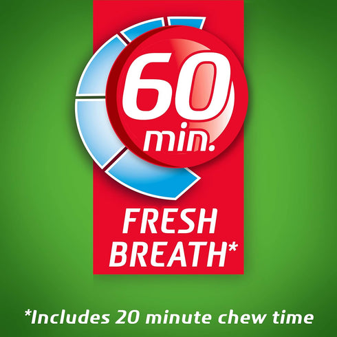 Dentyne Ice Spearmint Sugar-Free Chewing Gum, 9 Packs of 16 Pieces (144 Total Pieces)...