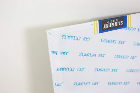 Sargent Art 90-3000 6x8 Inch Canvas Panel, 100% Cotton...