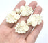 12 Pairs Beige Sewing Chinese Closure Buttons Closure Knot Frog Buttons Vintage Fastener for Cheongsam Cloak Coats and DIY Sewing Accessory 60x23m...