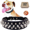 TEEMERRYCA Adjustable Microfiber Leather Spiked Studded Dog Collars with a Squeak Ball Gift for Small Medium Large Pets Like Cats/Pit Bull/Bulldog...