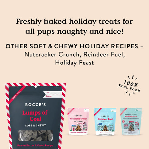 Bocce's Bakery Lumps of Coal Recipe Treats for Dogs, Wheat-Free Everyday Dog Treats, Made with Real Ingredients, Baked in The USA, All-Natural Sof...