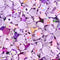 50 Pcs Slime Charms Easter DIY Craft Making Resin Jewery Making Kit, Resin Flatback Slime Beads Making Supplies for DIY Scrapbooking Crafts (Purpl...