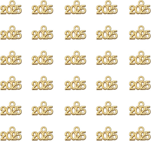 Ruwado 50 Pcs 2025 Year Jewelry Making Kits Metal Small Signet 1.4 x 0.9 cm Cute Kits for Bracelet Necklace Earring Keychain Crafting DIY Graduati...