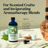Basil Essential Oil - Pure Essential Oils for Skin, Hair, Diffusers, Humidifiers, Aromatherapy, Yoga, Massages, Home Care - Fragrance Oils for Soa...