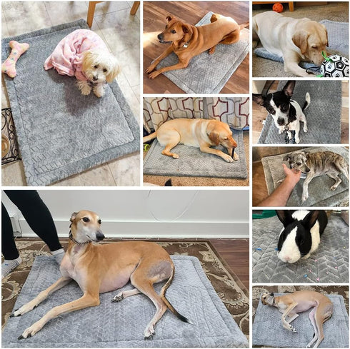 BEAUTYZOO Dog Crate Mat Pad, Soft High Resilience Foam Dog Crate Pad Kennel Pads with Soft Wavy Plush, Anti-Slip Washable Mattress for Jumbo Extra...