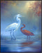 Posterizer 1 pcs-beautiful art work of pair of heron birds in nature 3-Art for Animal Lovers Gift for Art Lovers Decorations for Bedroom, Office, ...
