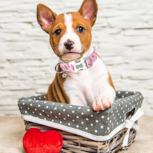 ARING PET Valentine's Day Dog Collar-Cute Pink Heart Dog Collar, Adjustable Pet Collars Puppy Collar with Quick Release Buckle for Small Medium La...