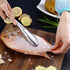 Fish Scaler Brush Fish Scaler Remover with Stainless Steel Sawtooth Easily Remove Fish Scales-Cleaning Brush Scraper Kitchen Tool...