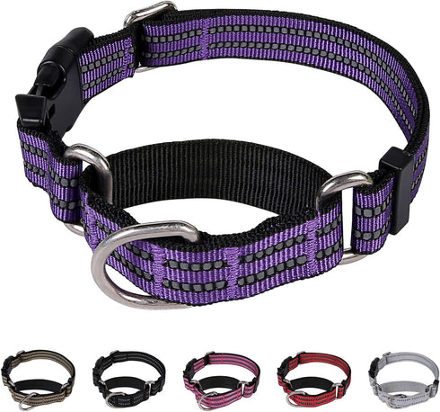 Martingale Collar for Dogs Reflective Nylon Dog Collar with Quick Release Buckle Adjustable Training No Slip Dog Collar (Medium, Purple)...
