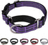 Martingale Collar for Dogs Reflective Nylon Dog Collar with Quick Release Buckle Adjustable Training No Slip Dog Collar (Medium, Purple)...