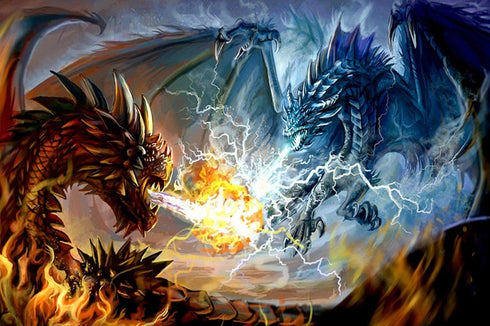 DIY 5D Dragon Diamond Painting Number Set Crystal Rhinestone unframed Full Diamond Canvas Artist Wall Decoration 12x16in...