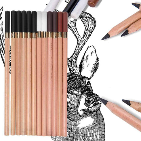 12PCS 4 Colors Sketching Pencils Wooden Charcoal Drawing Pencil Art Supplies with Gift Box for Art Students, Beginners, Professional Painter, Whit...