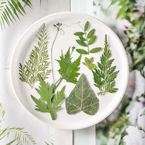 LUCISKY 84 Pcs Dried Leaves Pressed Flowers for Resin Molds, Real Natural Assorted Dry Greenery for Leaf Craft DIY, Jewelry Making, Decoration Sup...