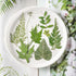 LUCISKY 84 Pcs Dried Leaves Pressed Flowers for Resin Molds, Real Natural Assorted Dry Greenery for Leaf Craft DIY, Jewelry Making, Decoration Sup...