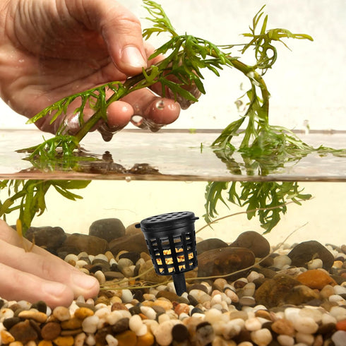 Yardwe 50pcs Bonsai Fertilizer Baskets, Fertilizer Mesh Baskets Garden Nursery Pots with Lid Planting Nutrition Cups for Succulent, Orchid, Bonsai...