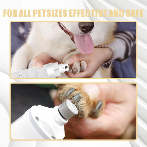 4 Pcs Dog Nail Grinder Replacement Heads Compatible with Casfuy, Professional Diamond Tips Drill Bit Pet Nail Spare Wheels Trimmers for Large Medi...