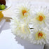 TOPIA Artificial African Daisies Flowers African Daisy Silk Flowers Artificial Gerbera Daisies Pack of 10 (White)...