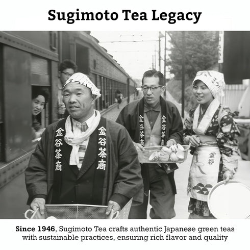 SUGIMOTO TEA Japanese Organic Matcha Genmaicha Tea Bags 12 Count Pack of 1...