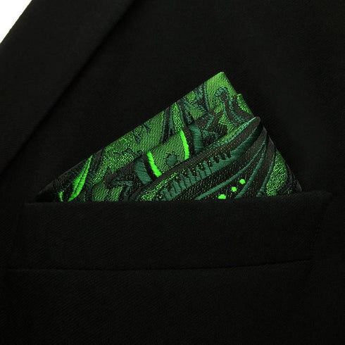 S&W SHLAX&WING Neck Tie Sets for Men Matching Necktie Dark Green Paisley Matching Pocket Square...