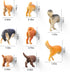 8Pcs Add Some Humor and Funny to Your Fridge with Dog Butt Magnets - Perfect for Home Refrigerator Magnets for Adults or Kids (Dog Butts)......