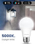 MikeWin Dusk to Dawn Light Bulbs Outdoor, Auto ON/OFF Light Sensor LED Bulb 13W(100W Equivalent) Super Bright A19 E26 5000K Daylight Security Ligh...