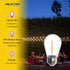 Jslinter S14 1W Outdoor String Lights Bulbs LED, Shatterproof & Waterproof, 2200K Warm White, 11W Equivalent, E26 Base, Edison Vintage Style Repla...