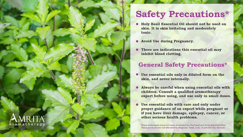 Organic Holy Basil (Tulsi) Essential Oil; 100% Pure and Undiluted Ocimum Sanctum; Premium Quality Aromatherapy Oil; Tested and Verified, Size: 10 ...