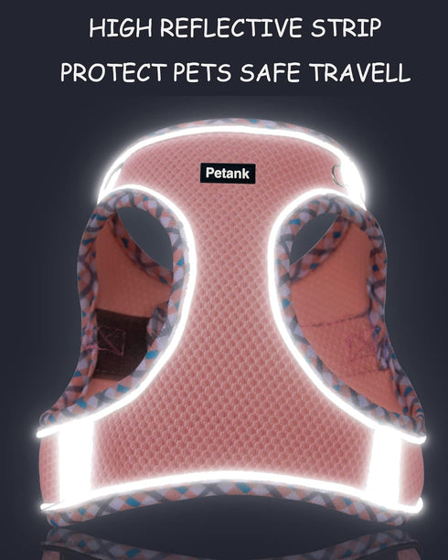 Petank Dog Harness for Small Medium Dogs No Pull, Puppy Harness and Leash Set, Easy Walk Dog Harness for Walking, Running, Training, Small Dog Har...
