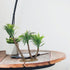 BESTOYARD Artificial Coconut Tree Decor Mini Tropical Palm Trees Fairy Garden Landscape Scenery Decoration...