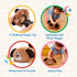 Battat – Plush Crawling Toy Dog – Interactive Stuffed Animal – Toy Puppy With Movement & Sounds – Tummy Time Toys For Toddlers – 12 Months + – Wag...