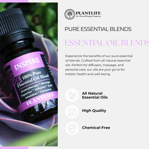 Plantlife Spa Aromatherapy Essential Oil Blend - Straight from The Plant 100% Pure Therapeutic Grade - No Additives or Fillers - Made in Californi...