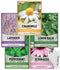 Gardeners Basics, Herbal Tea Seeds for Planting Indoors and Outdoors 5 Variety Packets Echinacea, Peppermint, Lavender, Chamomile and Lemon Balm -...