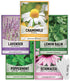 Gardeners Basics, Herbal Tea Seeds for Planting Indoors and Outdoors 5 Variety Packets Echinacea, Peppermint, Lavender, Chamomile and Lemon Balm -...