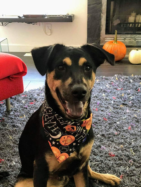 4 PCS/Pack Halloween Dog Bandana Pumpkin Reversible Triangle Bibs Scarf Accessories for Dogs Cats Pets Large...