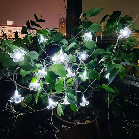 Solar Flower String Lights Outdoor Waterproof- Morning Glory Flowers, 20-Brightness LED String Light, 20Ft 2 Modes - Perfect Decor for Garden, Fen...