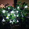 Solar Flower String Lights Outdoor Waterproof- Morning Glory Flowers, 20-Brightness LED String Light, 20Ft 2 Modes - Perfect Decor for Garden, Fen...