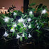 Solar Flower String Lights Outdoor Waterproof- Morning Glory Flowers, 20-Brightness LED String Light, 20Ft 2 Modes - Perfect Decor for Garden, Fen...