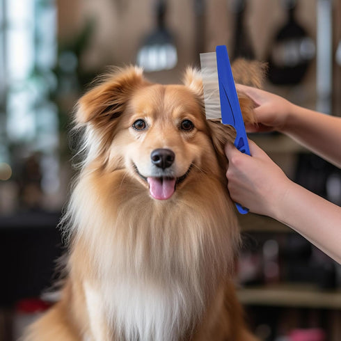 Pet Grooming Comb Sets for Cats and Dogs,Cuteabc 5 Pcs Comb Set Include Double-sided Dog Eye Comb/Dematting Comb/Flea Lice Combs and Grooming Comb...