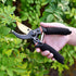 Pruning Shears, Garden Shears - 8.5" Professional Premium SK5 Steel with Titanium Pruning Shears for Gardening,Ultra Sharp Durable Bypass Garden C...