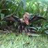 Pterodactyl Dinosaur Action Figures Realistic Flying Toy | Movable Mouth | Pteranodon Dino Toys | Pterosaur Model Toys | Cake Toppers Dinosaur Toy...