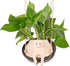 Smiley Face Planter Pot, Hanging Swing Chair Flower Head Resin Planters for Indoor Outdoor Plants Succulent Pots for String of Pearls Plant Live G...