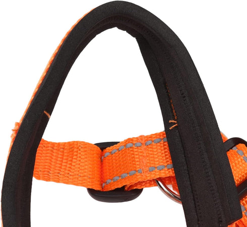 Dog Head Collar Dog Head Halter Collars Headcollars with Safety Strap, Pet Headcollar Stops Pets from Pulling for Outdoor Walk (L)...