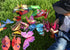 Giant Butterfly Garden Stakes Decorations Outdoor 3D Butterflies Lawn Decorative Yard Decor Patio Accessories Ornaments PVC Gardening Art Christma...