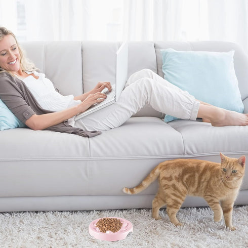 2 Pcs Cat Slow Feeder Bowl Pet Feeder Wet Food Slow Feed Raised Dish Healthy Eating Diet Fun Interactive Feeding Bowls for Cats and Dogs Dishwashe...