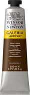 Winsor & Newton Galeria Acrylic Color, 200ml (6.75-oz) Tube, Burnt Umber...