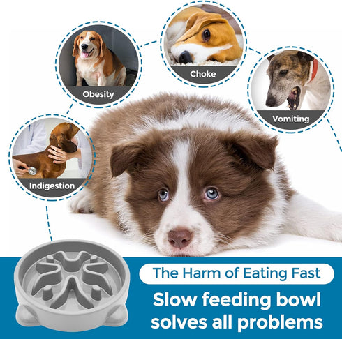 Slow Feeder Dog Bowls Non Slip Puppy Bowl Durable Dog Puzzle Feeder Bloat Stop Dog Food Bowls for Puppy and Small Dogs, BPA Free, 1 Cup, Grey...