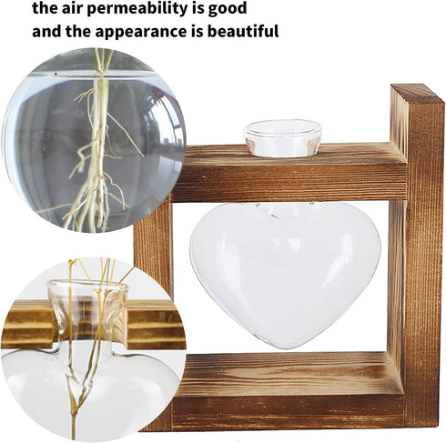 Plant Terrarium with Wooden Stand,Heart Shaped Transparent Glass Vase Flower Pot Hydroponics Plant Propagation Station for Hydroponics Plants Home...