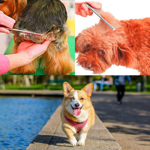 3 Pcs Dog Comb Pet Cat Grooming Combs for Matted Shedding or Knotted Hair, Stainless Steel, Medium Coarse, TuNan Metal Anti Knot Hair Combs for Sm...