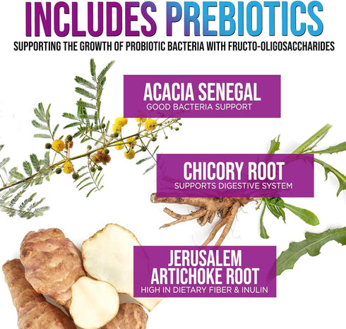 Daily Probiotic and Prebiotic Supplement 60 Billion CFU Capsule for Women & Men - 10 Diverse Strains - Acidophilus Prebiotics & Probiotics for Dig...