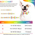 Heart Dog Collar with Colorful Bow Tie, Pride Pet Collar Adjustable Cotton Collar Valentines Gifts for Small Medium Large Boys Girls Dogs, M...